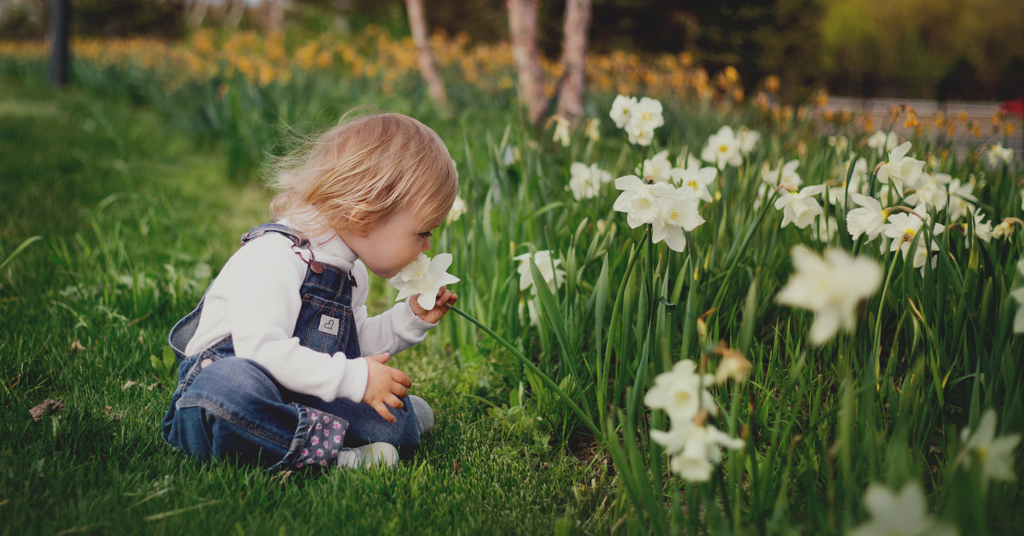 Springtime Allergies: Tips to Prevent Hay Fever Rash in Babies and Children